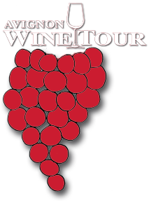 Avignon wine tour